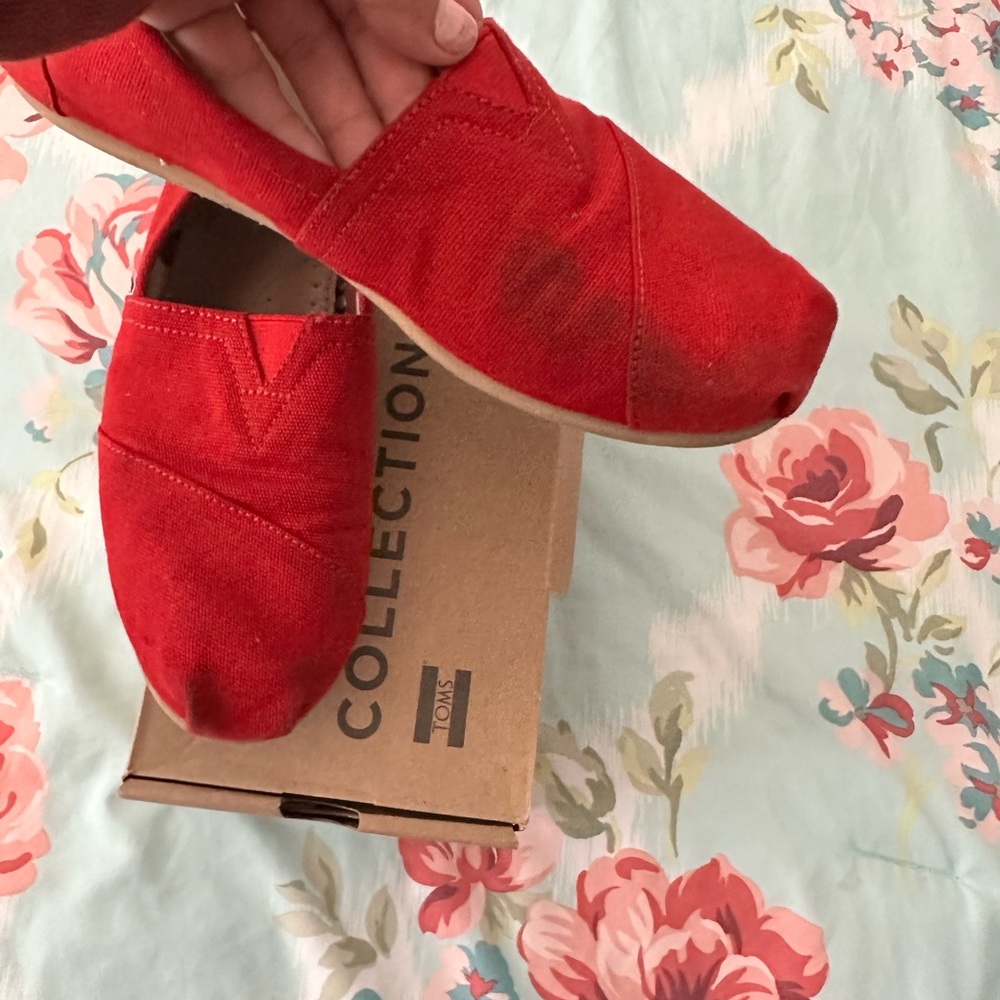Red Toms - Picture 7 of 8